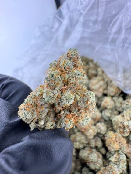 monster glue strain​