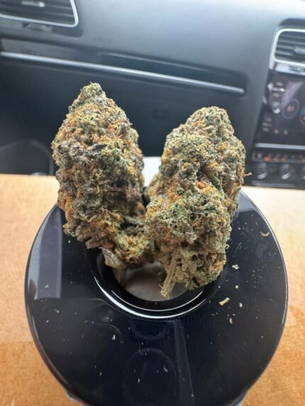 white truffle strain​