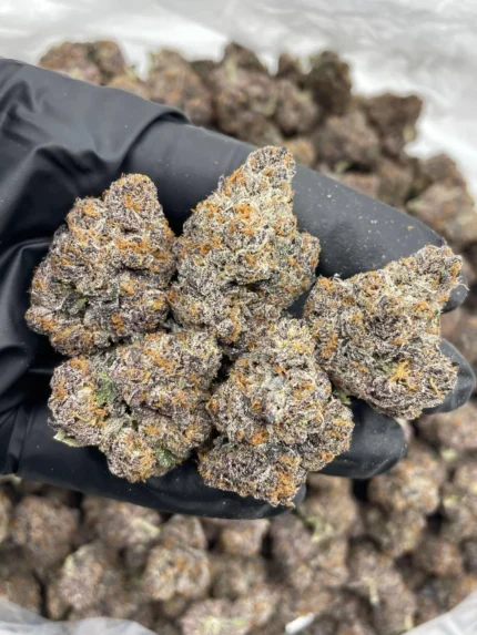 rainbow runtz strain​