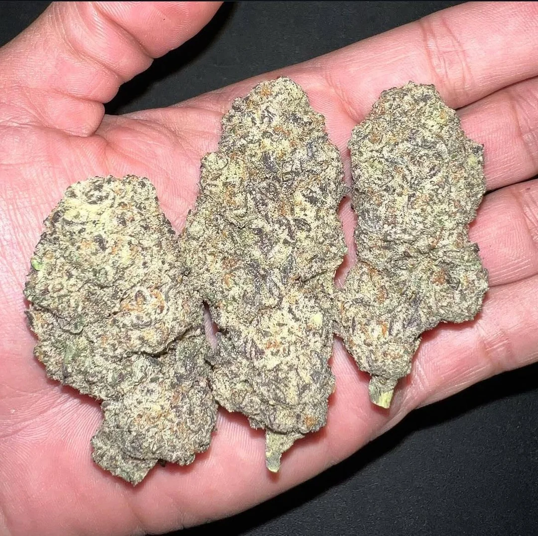 godfather og strain godfather og strain