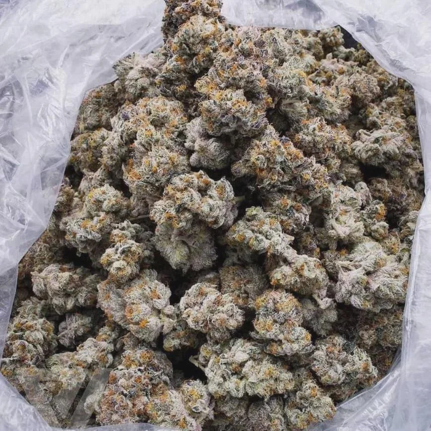 buy OG Kush Online buy OG Kush Online